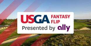 fantasy flip